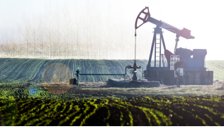 Sensibilización ambiental y ecológica VANTI