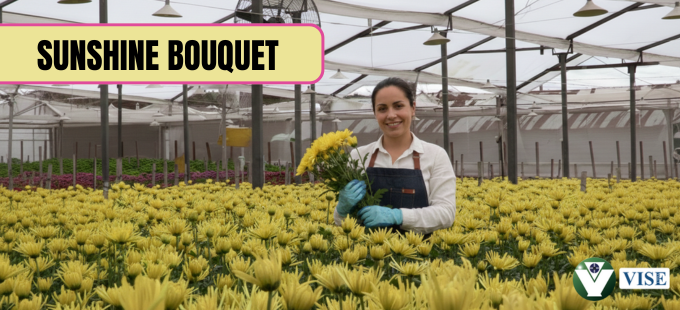 ESPECIALIDAD SUNSHINE 2026